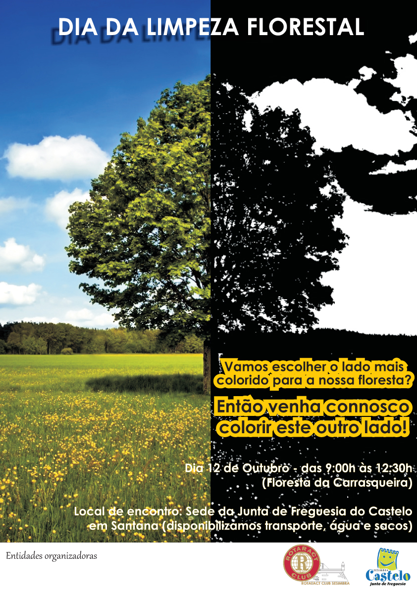 Dia da Limpeza Florestal
