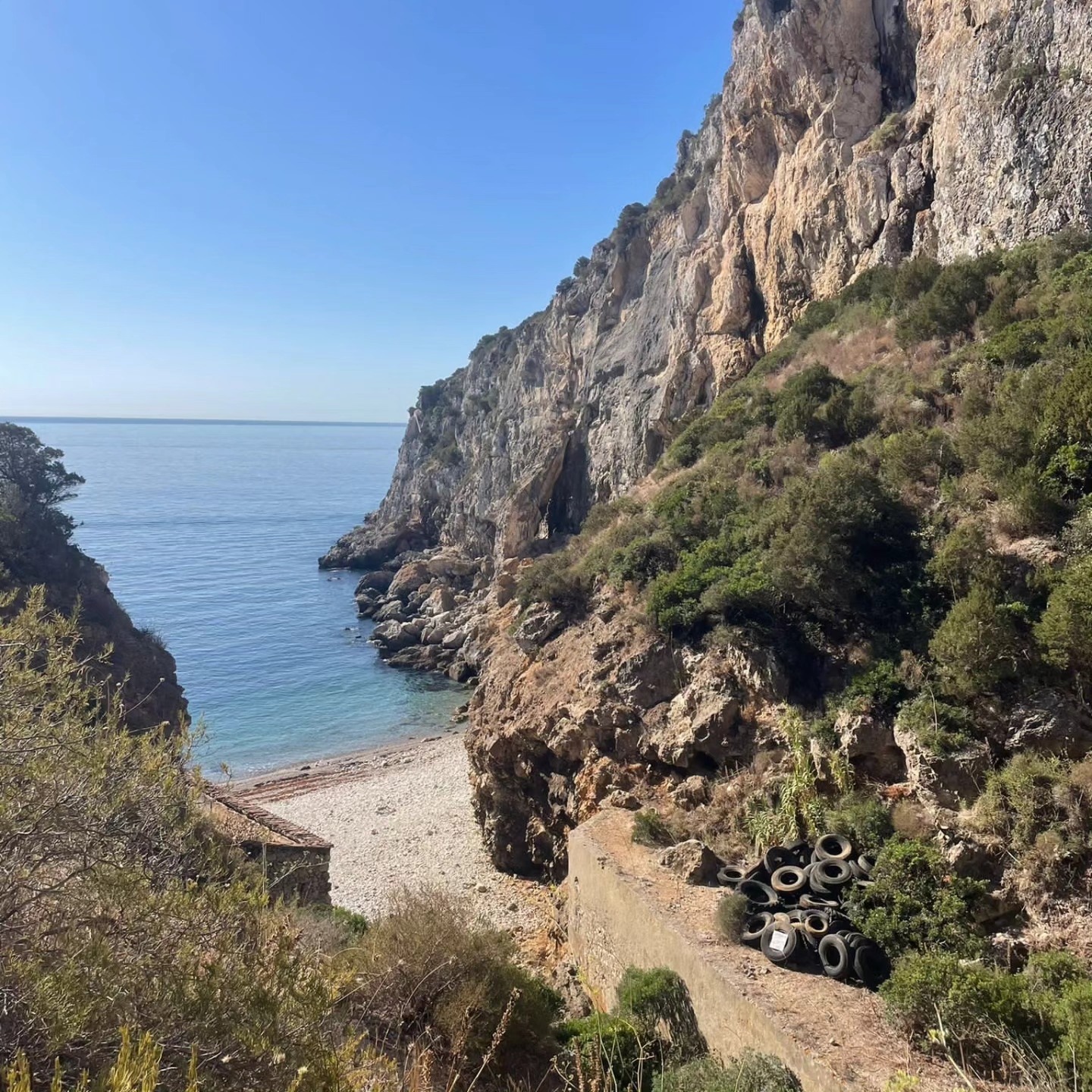 Limpeza da Praia da Baleeira