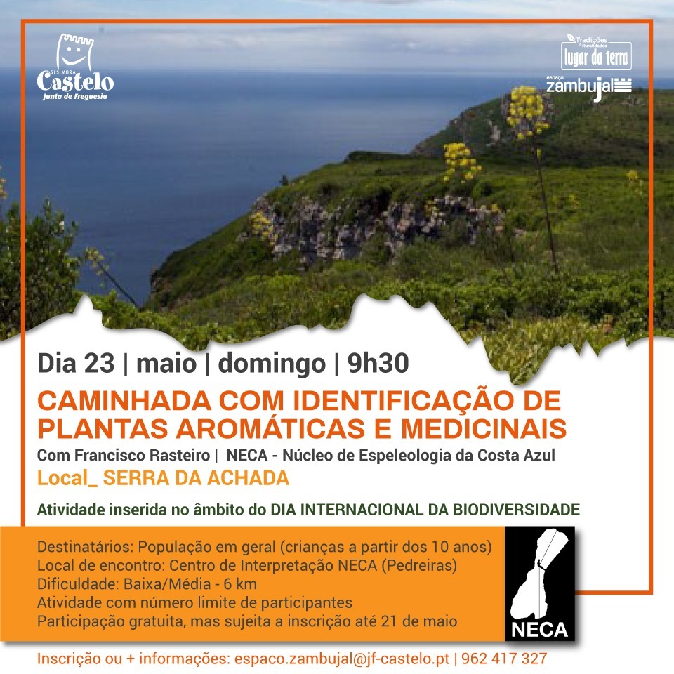 CAMINHADA | Identificação de Plantas Medicionais e Aromáticas