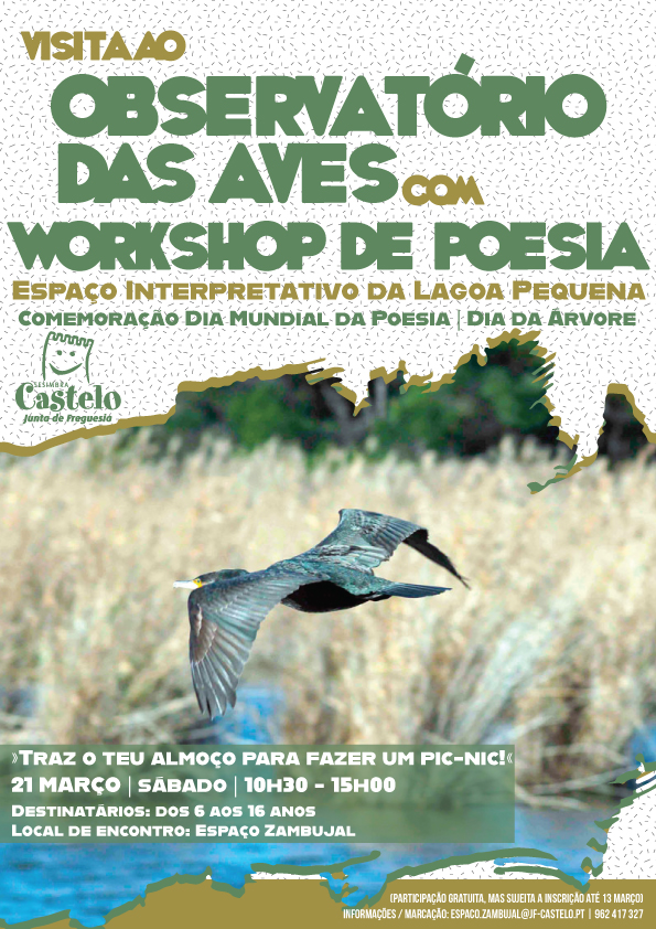 Visita ao Observatório da Aves | LAGOA PEQUENA